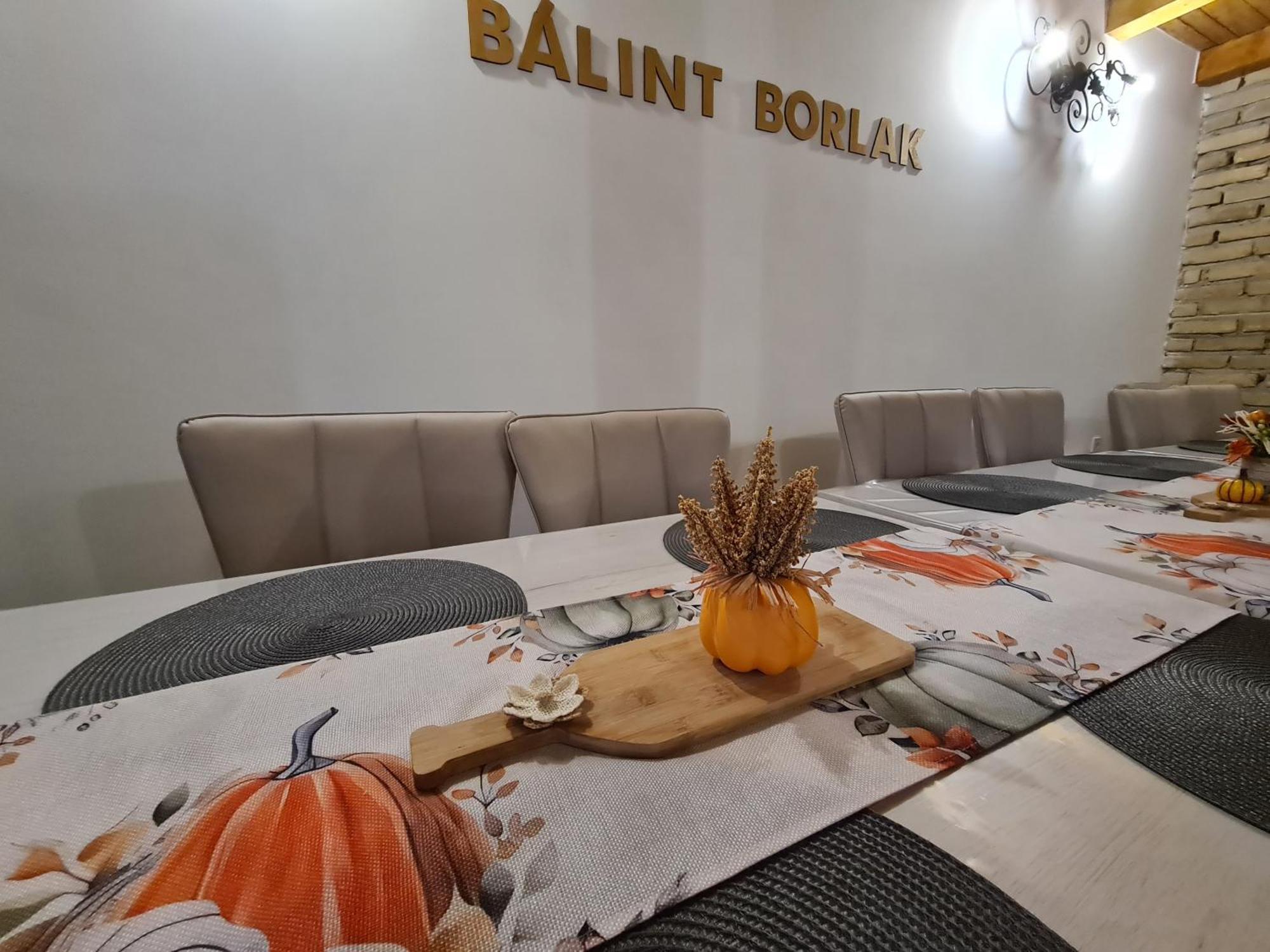 Balint Borlak Ubytovanie v rodine