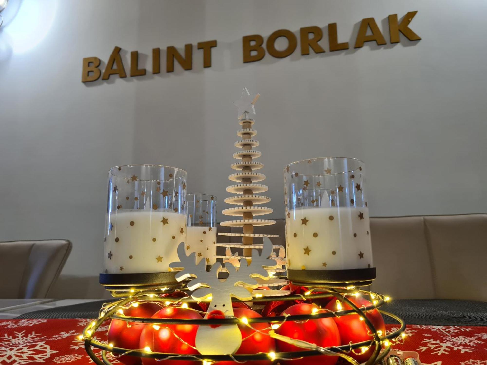 Balint Borlak *